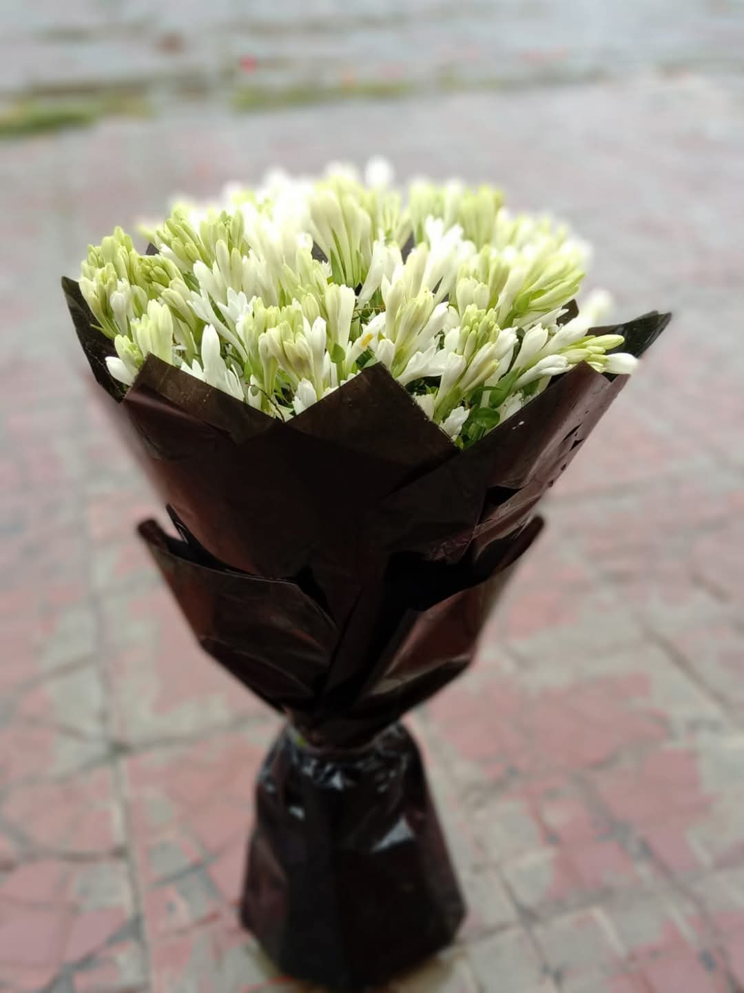 603a5c7d-661a-4747-83e4-56ead1eb99dd