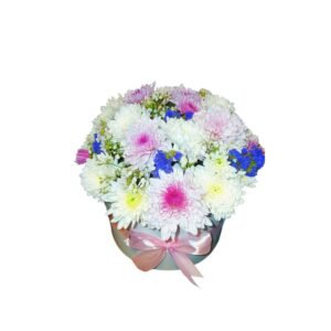 Flower box Daisy