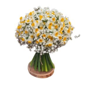 Nargis flower